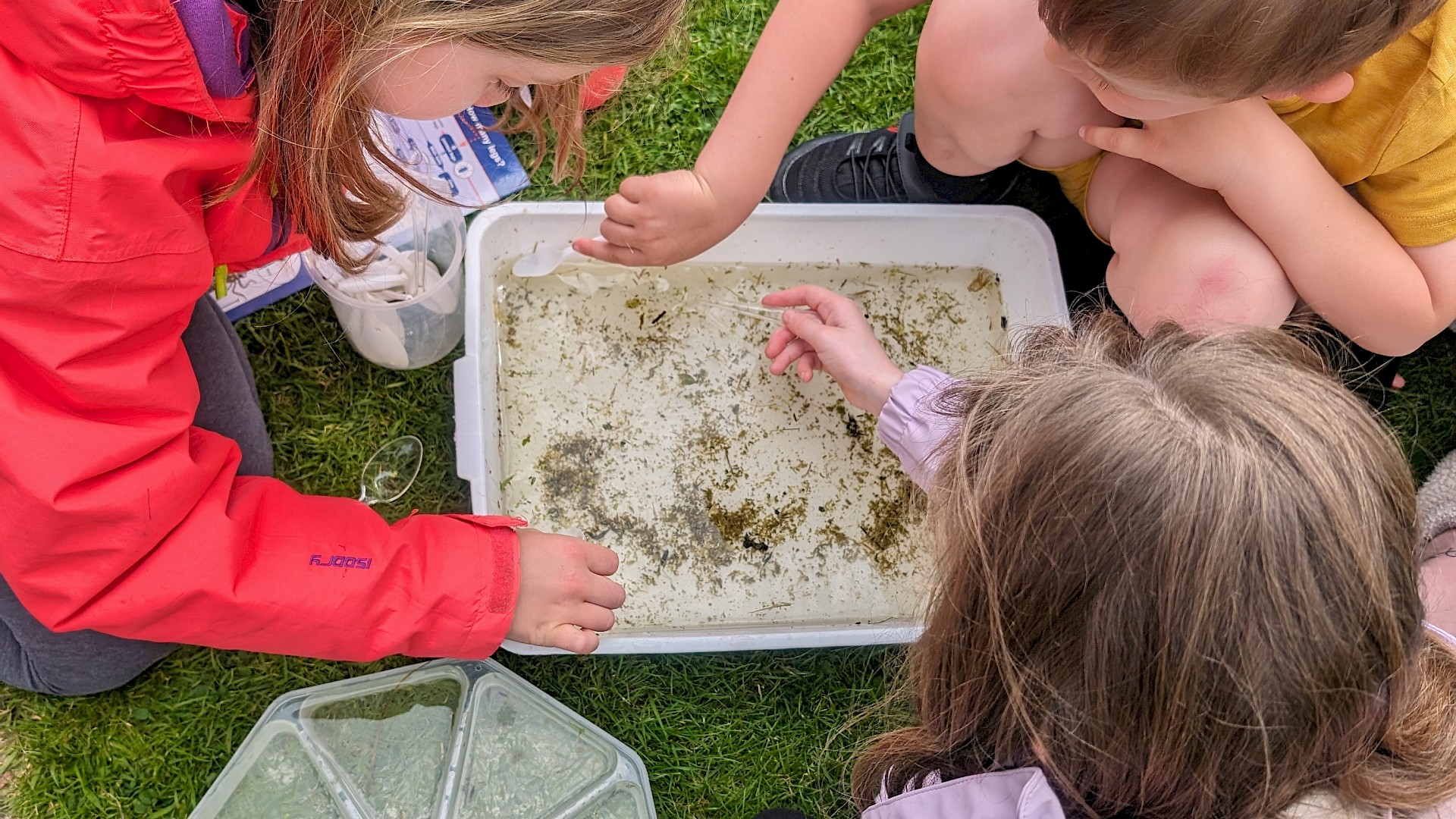 Family Workshop: Pond Dipping Image